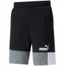 SHORT ESS BLOCK 10 TR PUMA