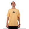 REMERA MC MOUNTAIN Y WAVE QUIKSILVER