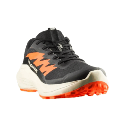 ZAPATILLA SALOMON ALPHAGLIDE M - Image 2