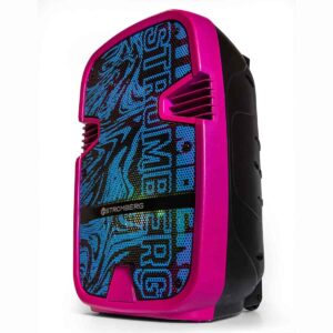 Parlante Portátil Stromberg Bump C/Bat - Bt - Aux 60W