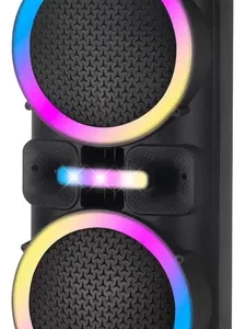 PARLANTE PORTATIL 2X12 PARTY SPEAKER