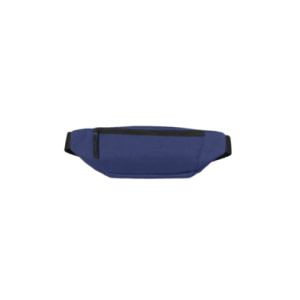 RIÑONERA CAT THE PROJECT