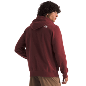 BUZO THE NORTH FACE IMMERSED OUTDOORS H DOME HOODIE GRAPHIC