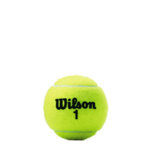 PELOTAS WILSON CHAMPIONSHP EXTRA DUTY TUBO X3