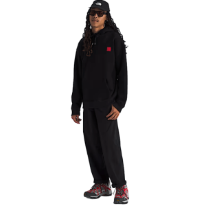 BUZO THE NORTH FACE M RED BOX ACONCAGUA HEAVYWEIGHT