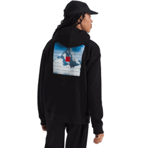 BUZO THE NORTH FACE M RED BOX ACONCAGUA HEAVYWEIGHT