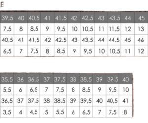 ZAPATILLA THE NORTH FACE W ALTAMESA 300